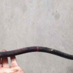 Cforcar Facel Vega Restoration 1 361